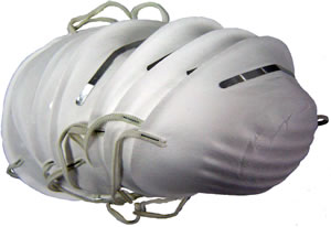 Mask Paper Filter 10pce $2.50